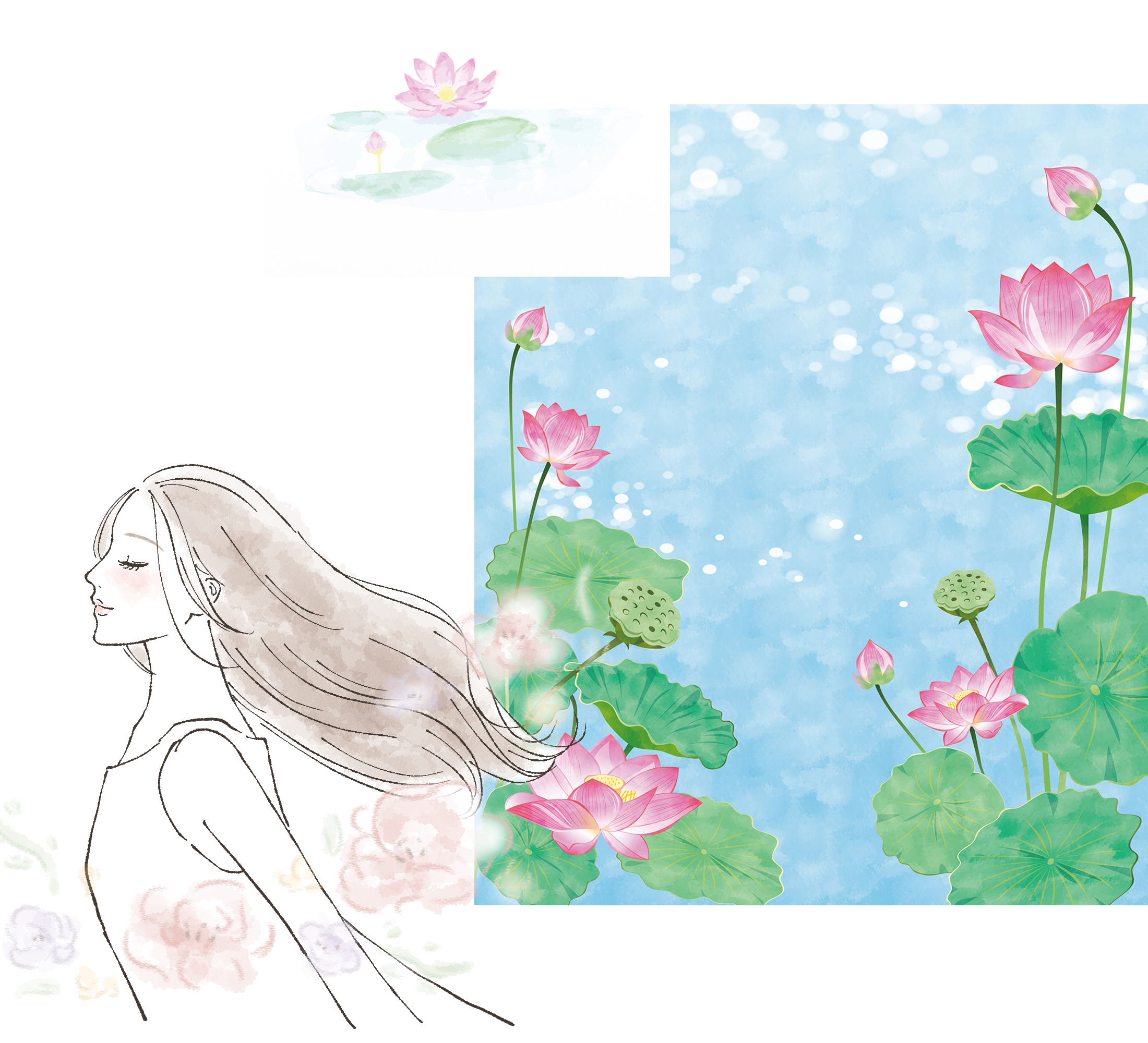 蓮の花